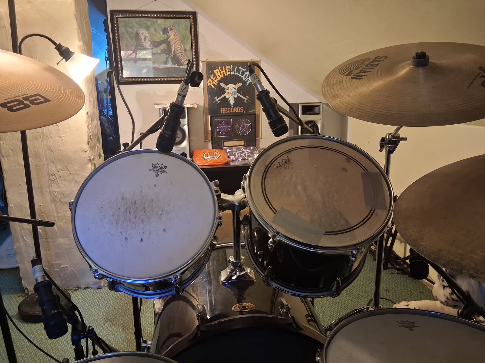 Drums 03